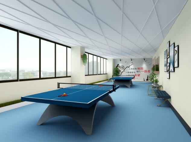 大型健身房乒乓球室
